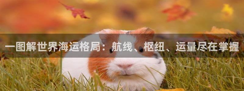 欢迎来到公海7109线路