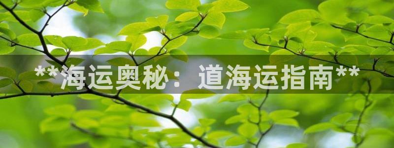 欢迎来到公海手机版710