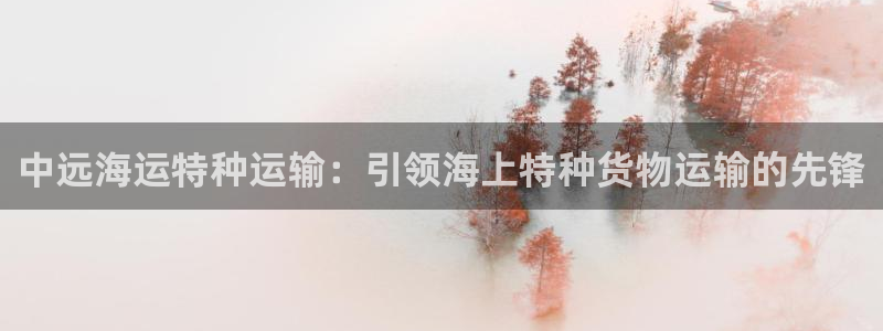 欢迎来到公赌船