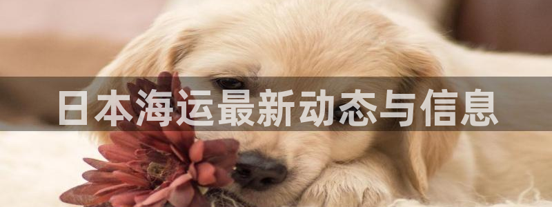 欢迎来到海牛星简谱