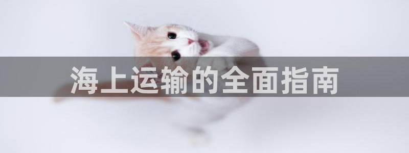 公海赌博为什么没人管