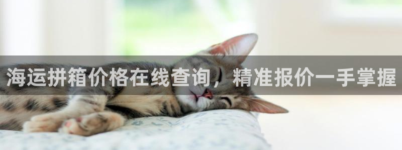 欢迎来到 公园