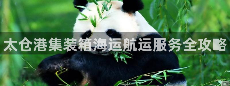 公海赌博为什么没人管