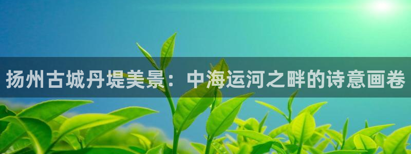 欢迎来公海欢迎来到赌船
