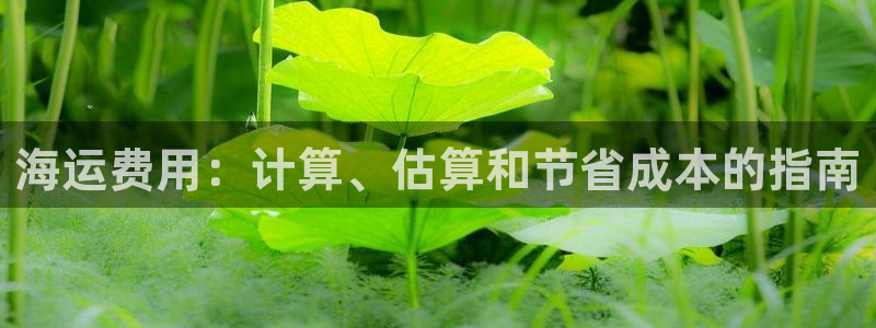 公海赌钱