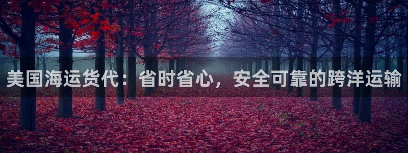 欢迎您来到公海