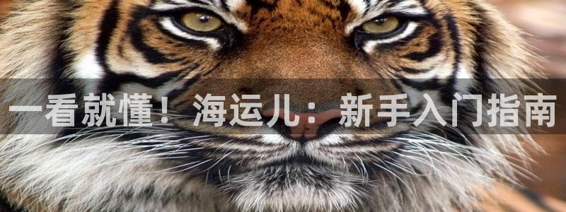 公海赌赌船官网jc7