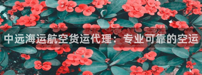 在公海赌博不违法吗