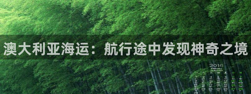 公海赌赌船官网图标