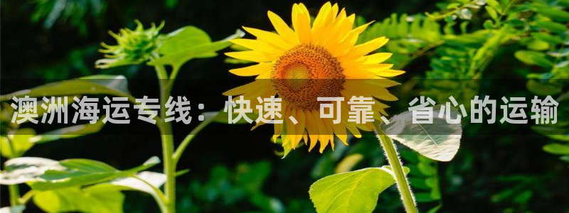 公海赌博为什么不犯法