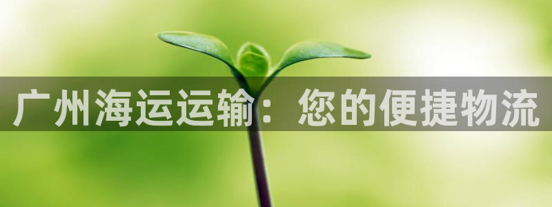 欢迎来公海欢迎来到赌船