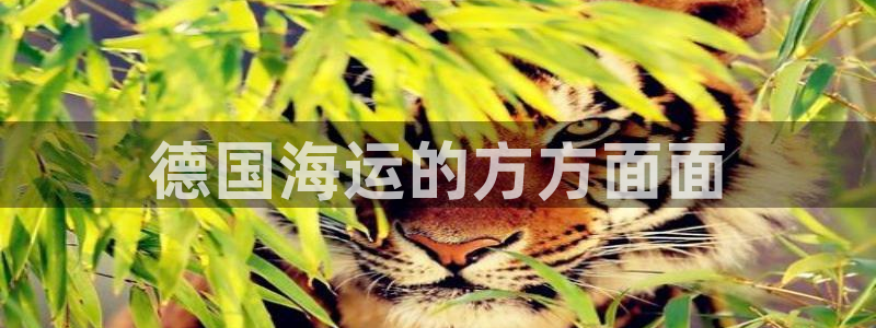 欢迎你来到公海 赌船