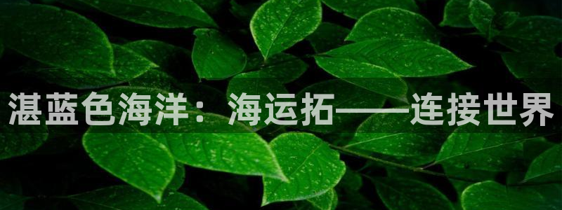 公海赌赌船官网可以做代理吗