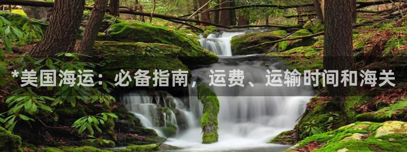 欢迎来到公海电脑版