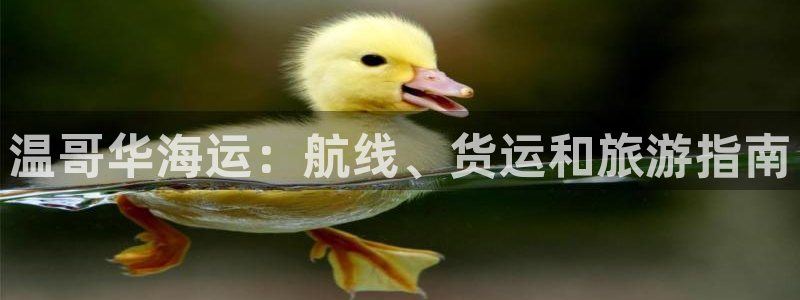 欢迎来到公海欢迎来到赌船710