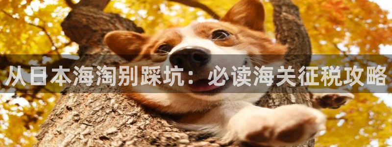 公海赌船赌博