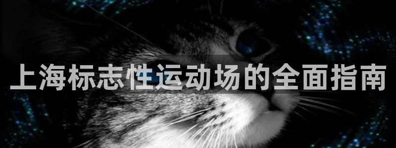 公海赌钱