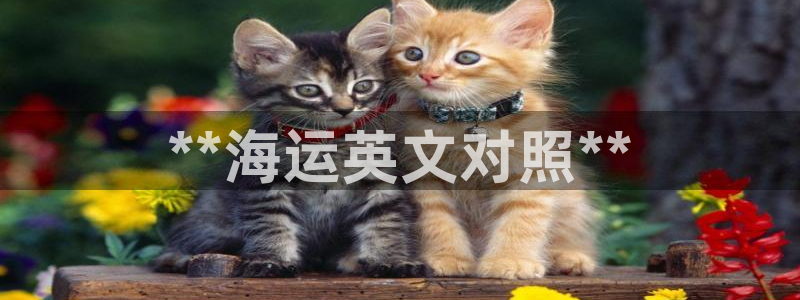 公海赌赌船官网真的吗