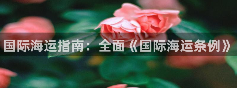 去公海赌博合法吗