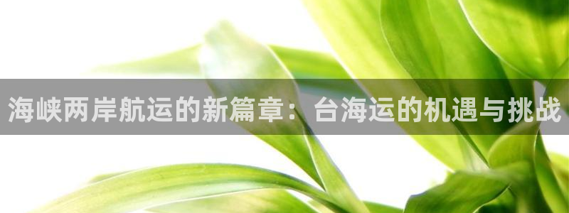 公海赌赌船官网真的