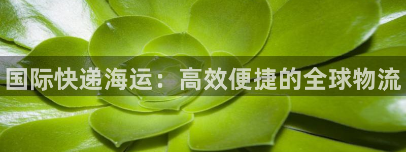 公海赌船官方