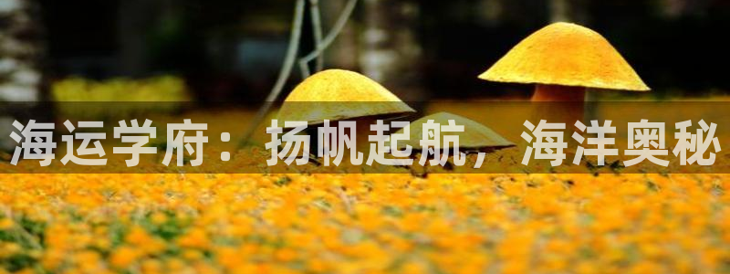 公海赌船赌博