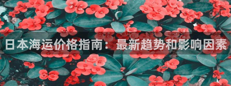 公海赌博怎么处理