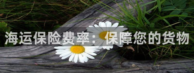 公海欢迎来到