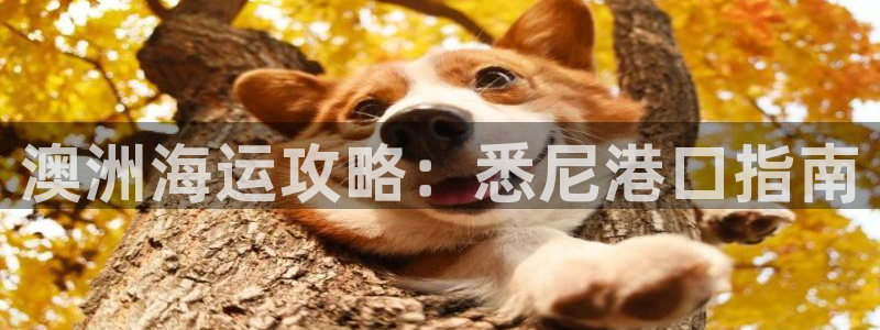 公海赌赌船官网真的