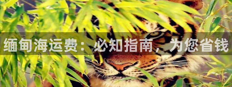 公海赌赌船