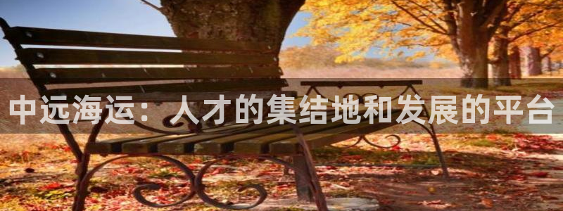 去公海赌博