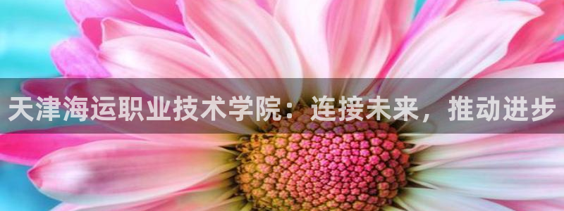 欢迎来公海欢迎来到船701