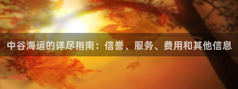 公海赌赌船贵宾会员检测路线