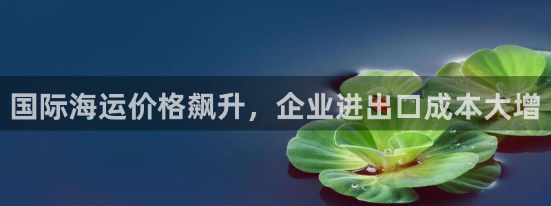 公海赌博是什么意思