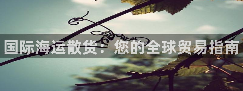 公海赌船网页