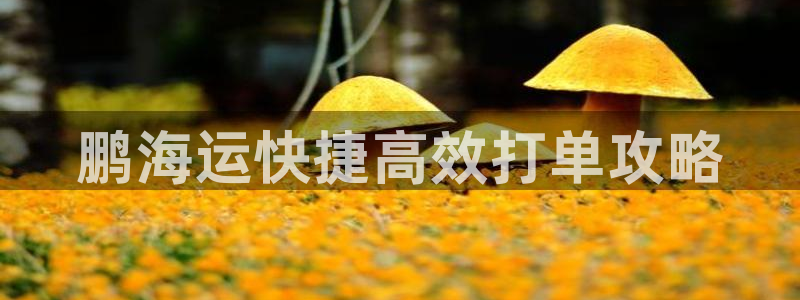 公海赌钱