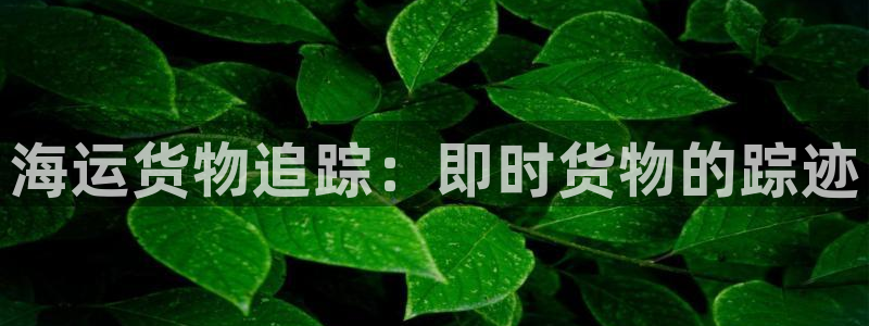 公海赌钱违法吗