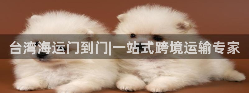 欢迎来到公海欢迎来到赌船!!