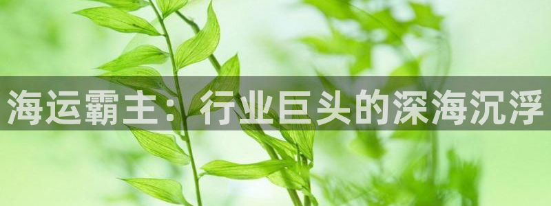 欢迎来到公海