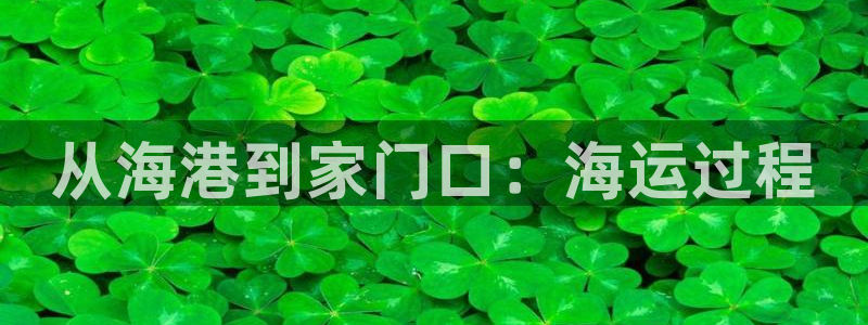 欢迎来到公海电脑版
