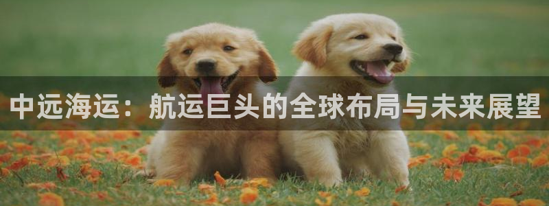 欢迎你来到公海 赌船