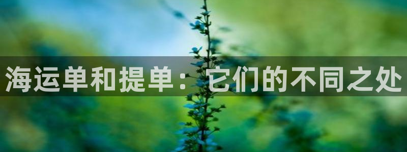公海赌赌船贵宾会员检测路线