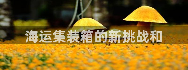 欢迎来到海牛星简谱