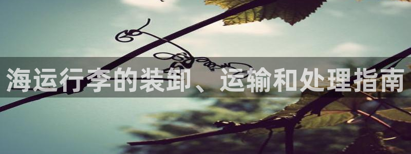 欢迎来到 公园