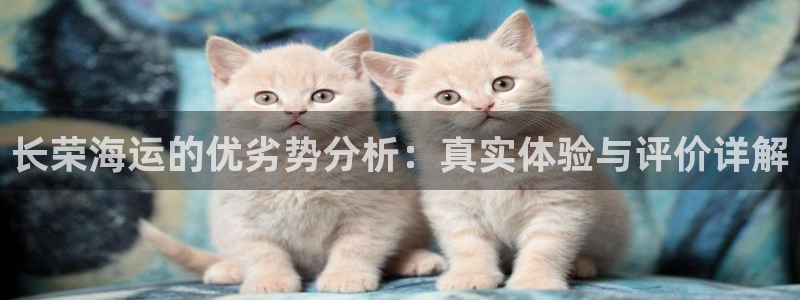 公海赌博为什么没人管