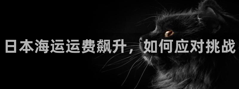 在公海赌博犯法吗