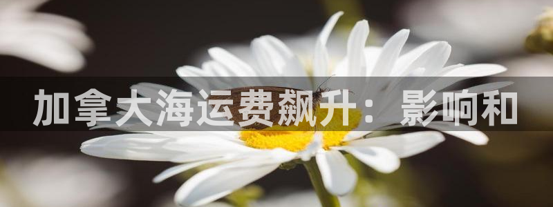 欢迎来公海欢迎来赌船欢迎