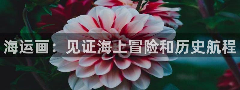 欢迎公海赌710