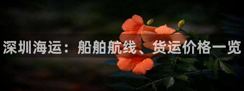 欢迎你来到公海710