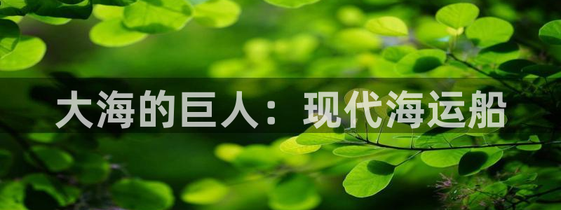 公海赌船网页